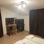 Guest house Casa Lions Timisoara