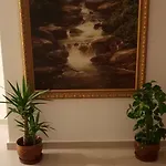 Guest house Casa Lions 3*