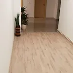 Casa Lions 3* Timisoara