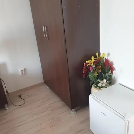 Casa Lions