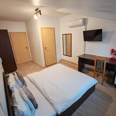 Casa Lions 3* Timişoara