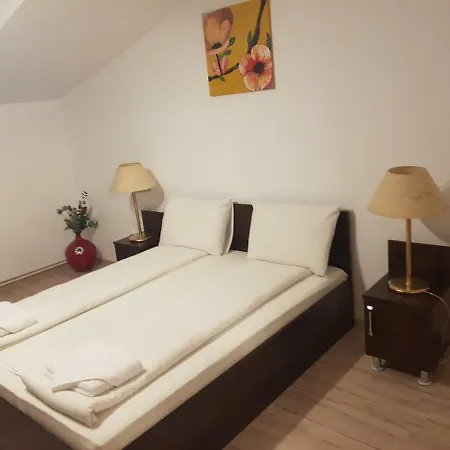 Casa Lions 3* Timisoara