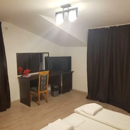 Гостевой дом Casa Lions Тимишоара