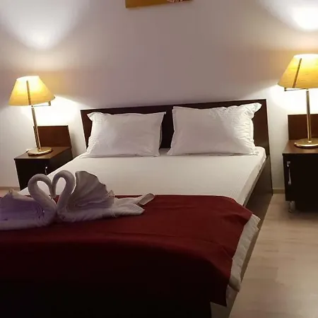 Гостевой дом Casa Lions Тимишоара