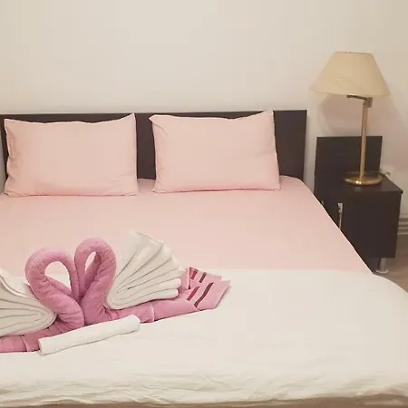 Гостевой дом Casa Lions Тимишоара