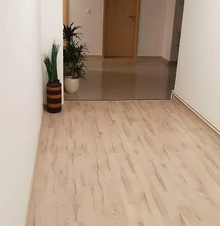 Casa Lions 3* Timisoara