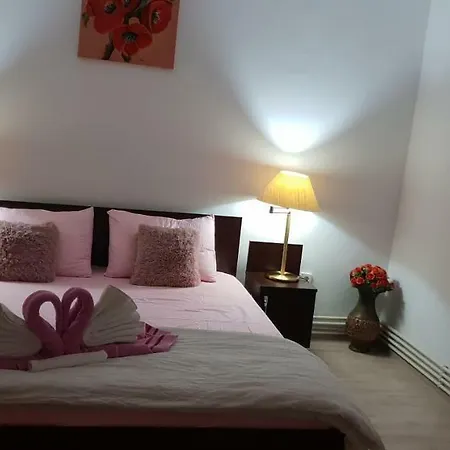 Casa Lions 3* Тимишоара