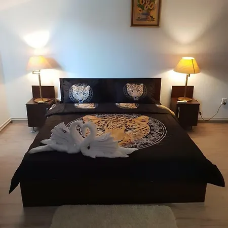 Casa Lions Тимишоара