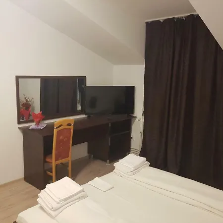 Casa Lions Guest house Timisoara