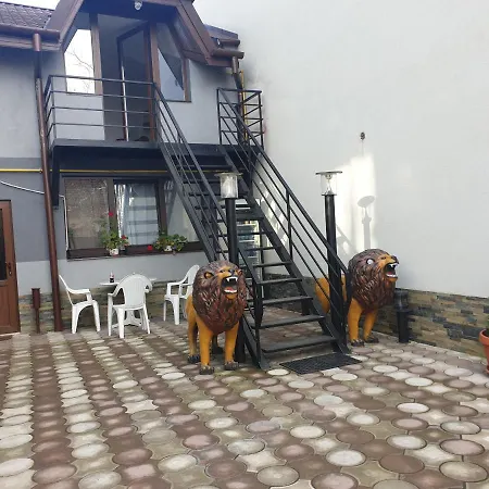 Guest house Casa Lions Timisoara