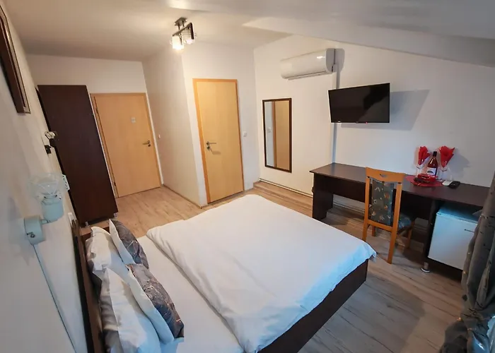 Casa Lions 3* 蒂米什瓦拉