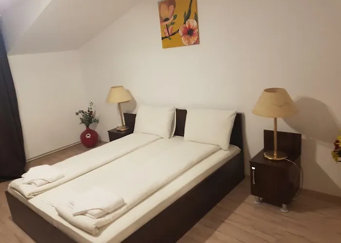 Casa Lions 3* 蒂米什瓦拉