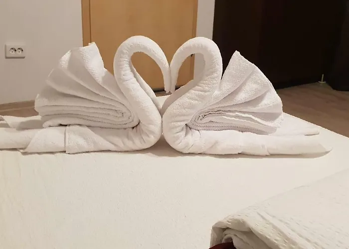 Casa Lions Timişoara