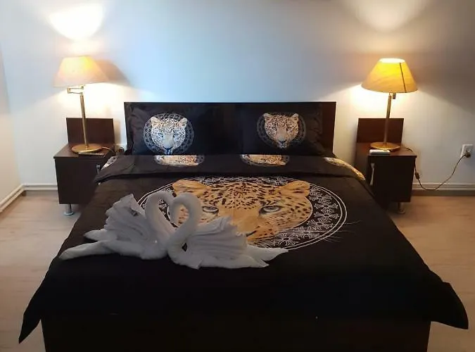 Casa Lions 蒂米什瓦拉