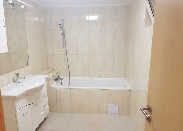 Casa Lions Casa de hóspedes Timişoara