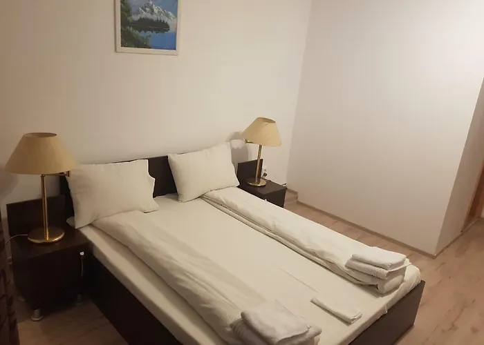 Casa Lions 蒂米什瓦拉