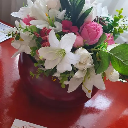 Casa Lions Гостевой дом Тимишоара