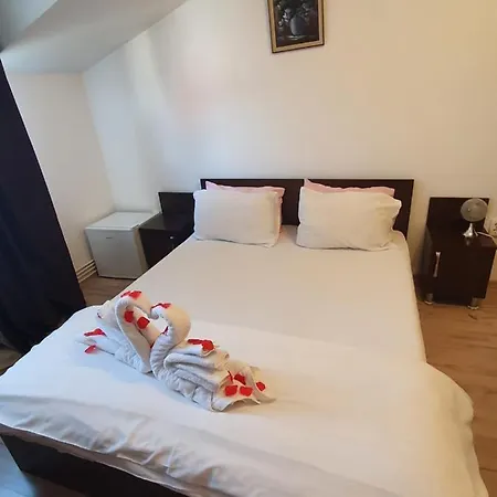 Гостевой дом Casa Lions Тимишоара