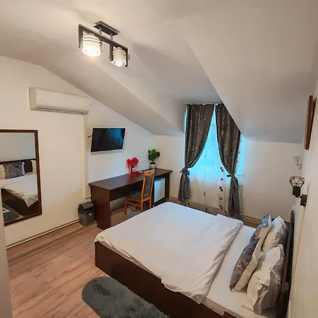 Pensionat Casa Lions 3*