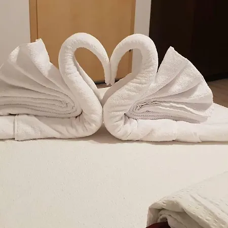 Casa Lions Timişoara