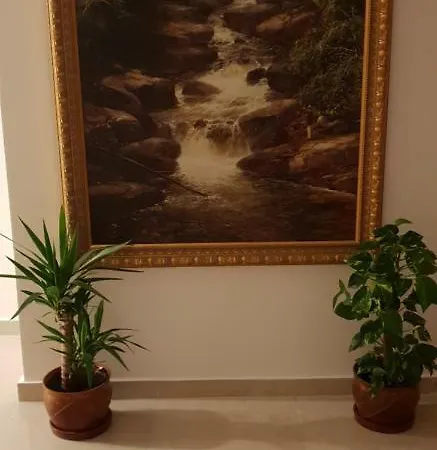 Гостевой дом Casa Lions 3*