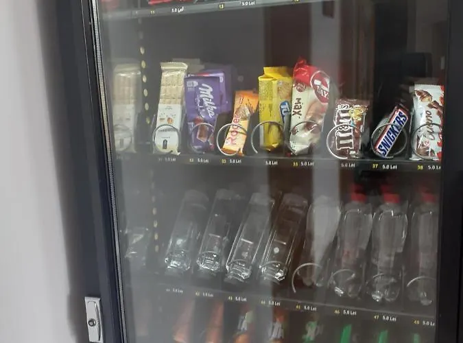 Casa Lions 3* Timisoara