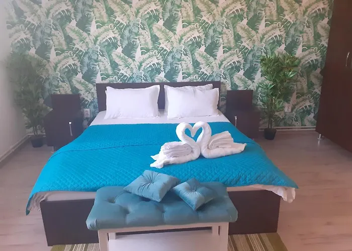 Casa Lions Guest house Timisoara