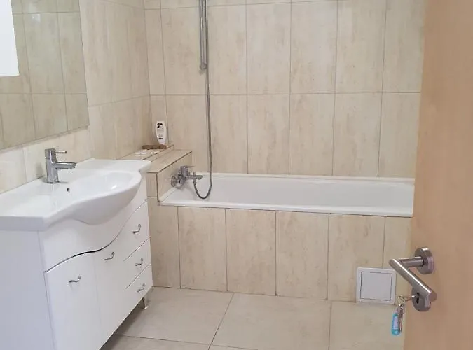 Casa Lions 3* Timisoara