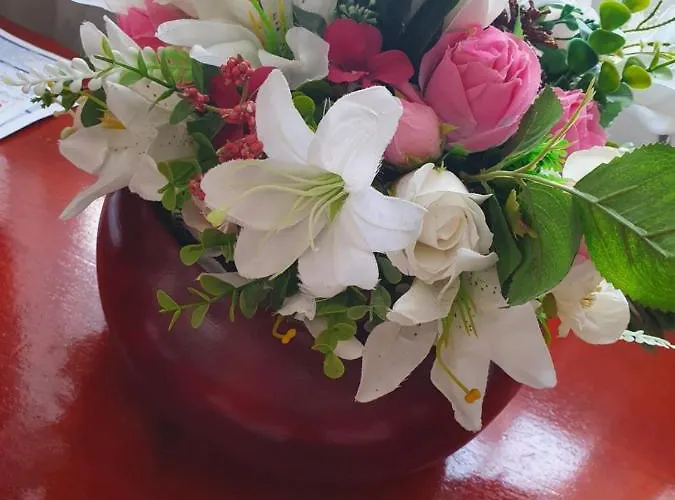 Casa Lions Pensionat Timişoara