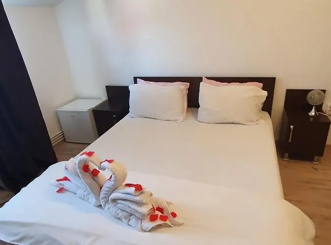 Pensionat Casa Lions Timişoara