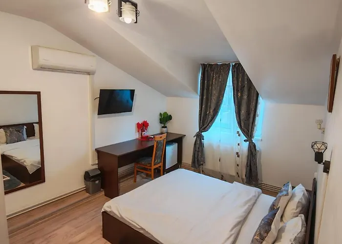 Pensionat Casa Lions 3*