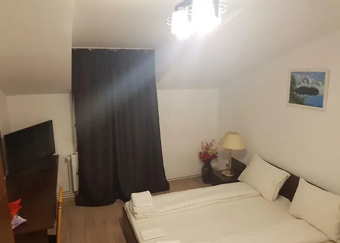 Casa Lions Pensionat 3*