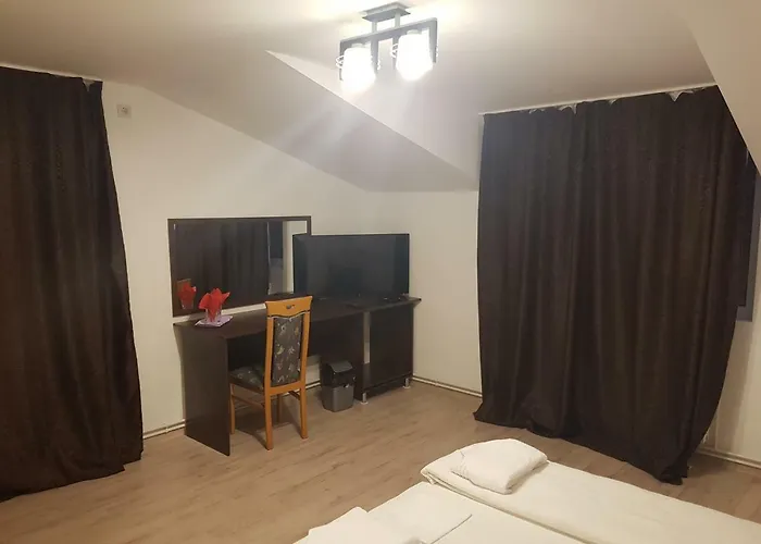 Pensionat Casa Lions Timişoara