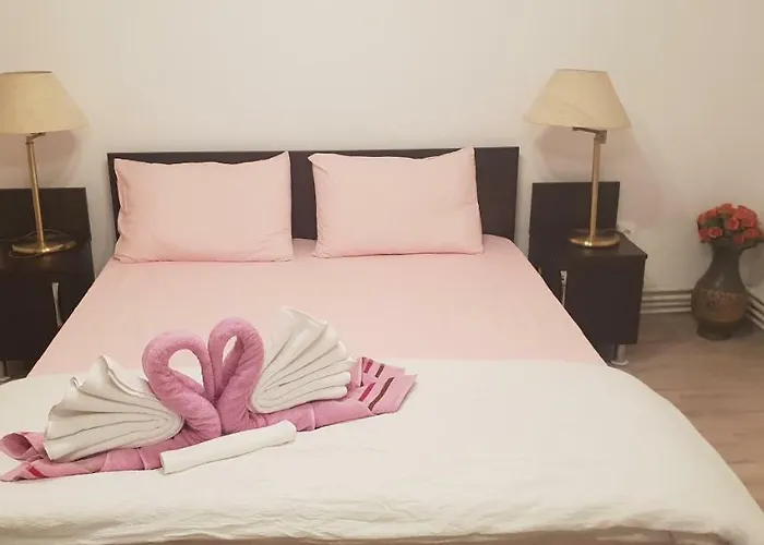 Guest house Casa Lions Timisoara