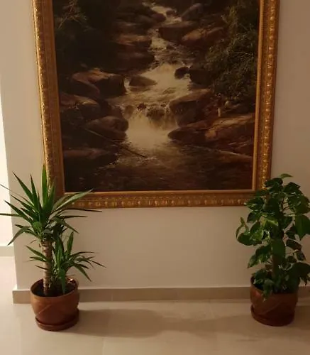 Guest house Casa Lions 3*