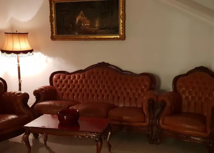 Casa Lions Pensionat 3*