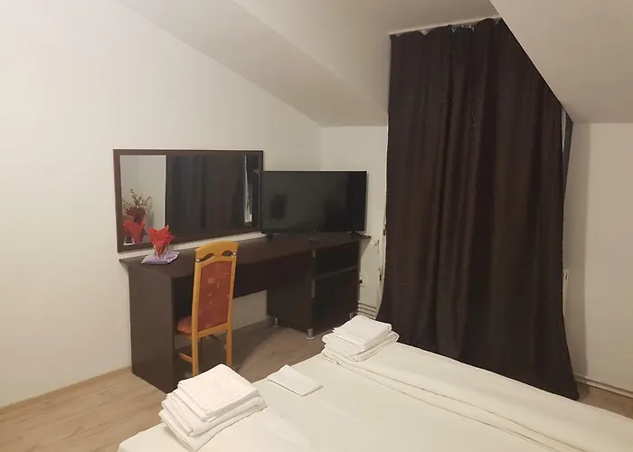 Casa Lions Pensionat Timişoara